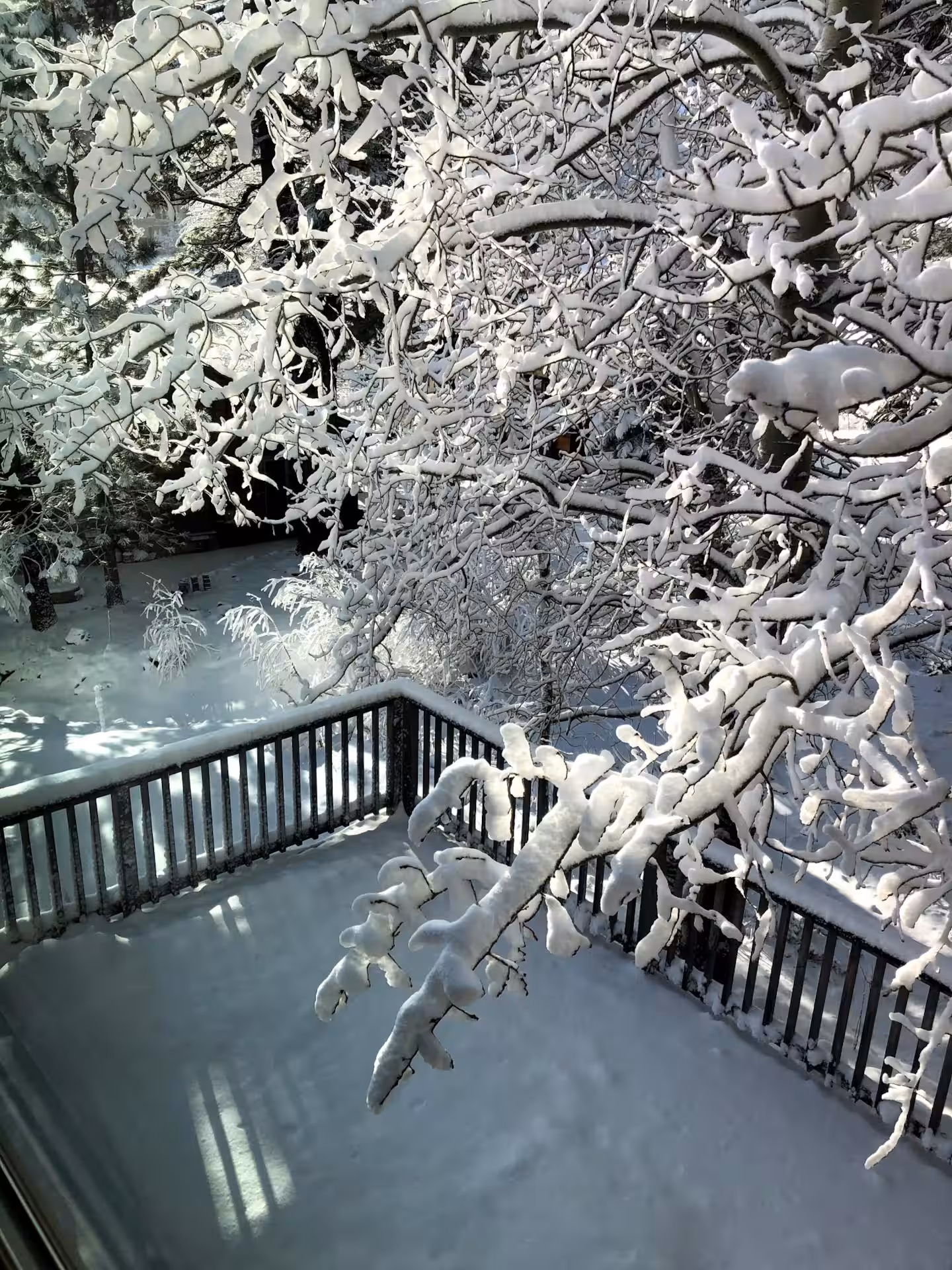 Winter deck thumbnail for the cabin